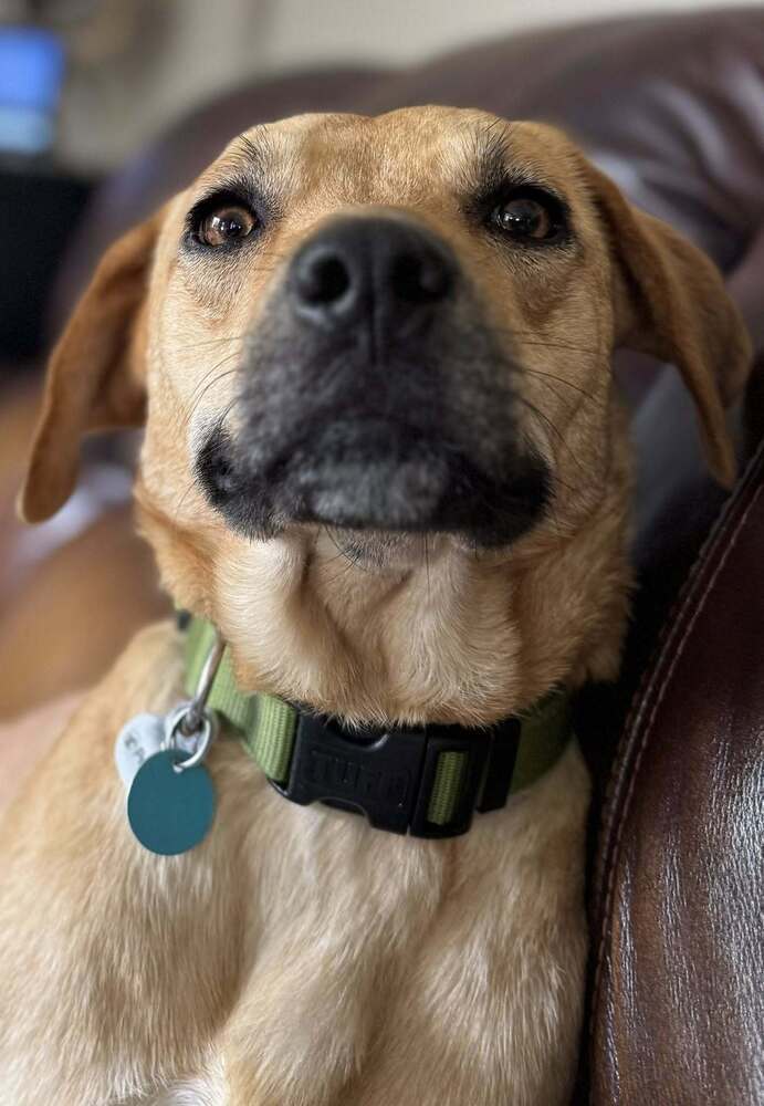 Penny