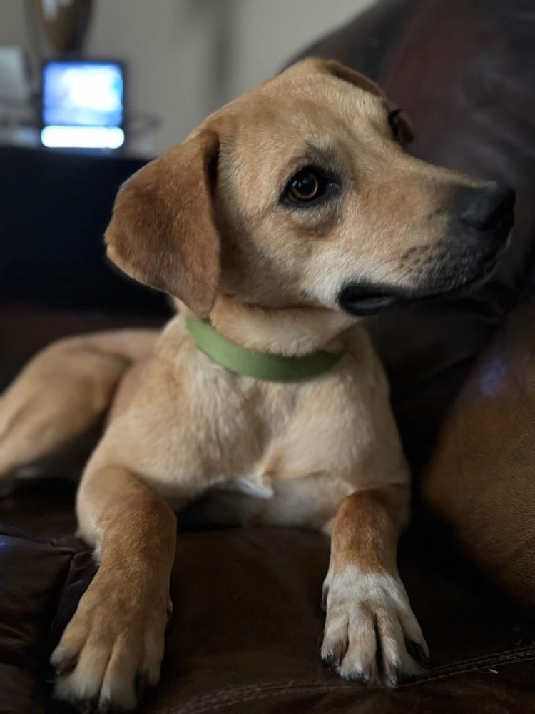 Penny