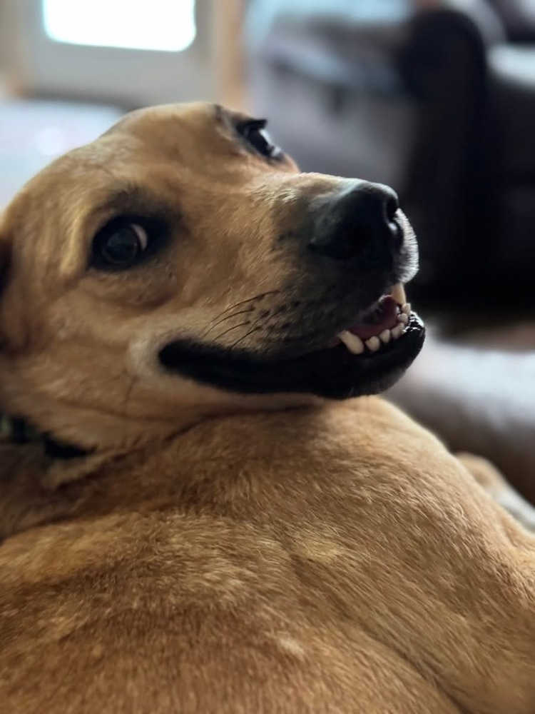 Penny