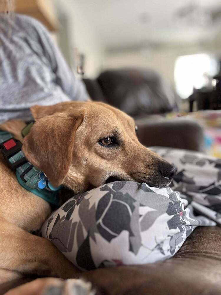 Penny