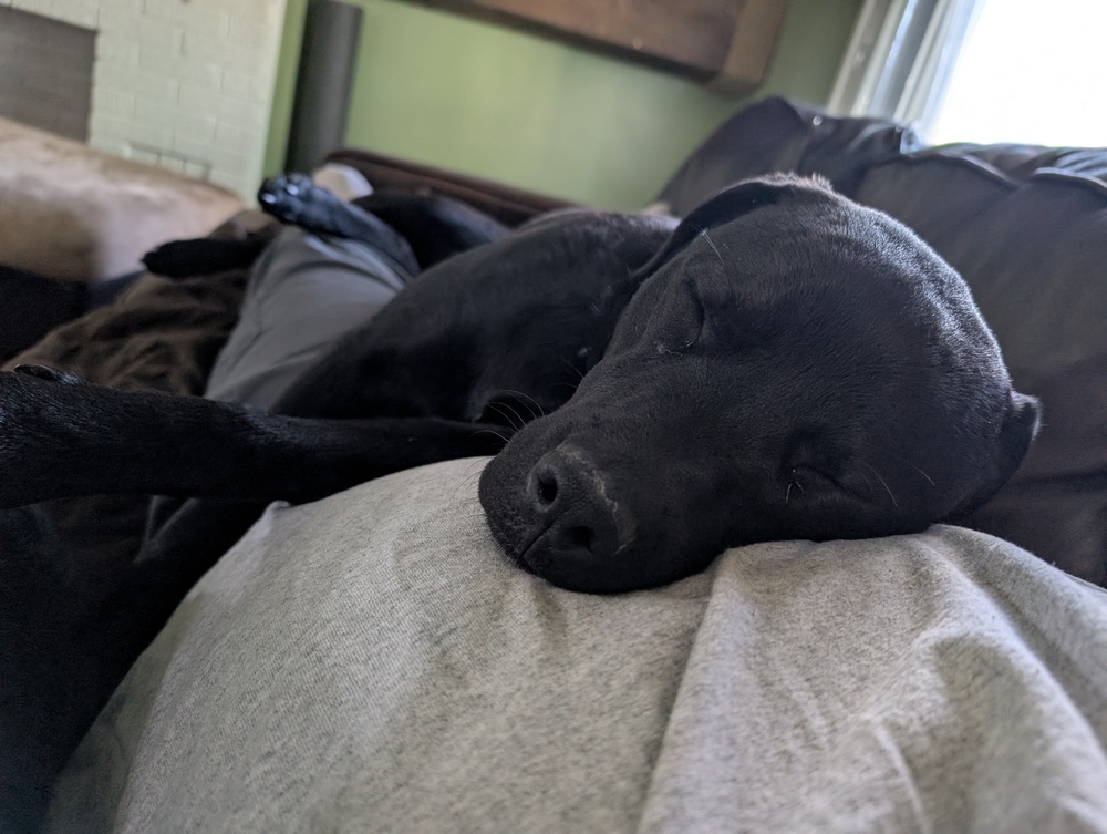 Bella