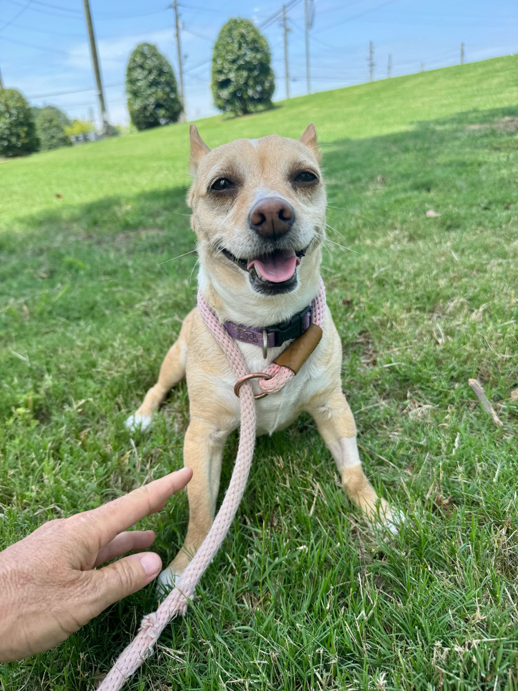 Bella