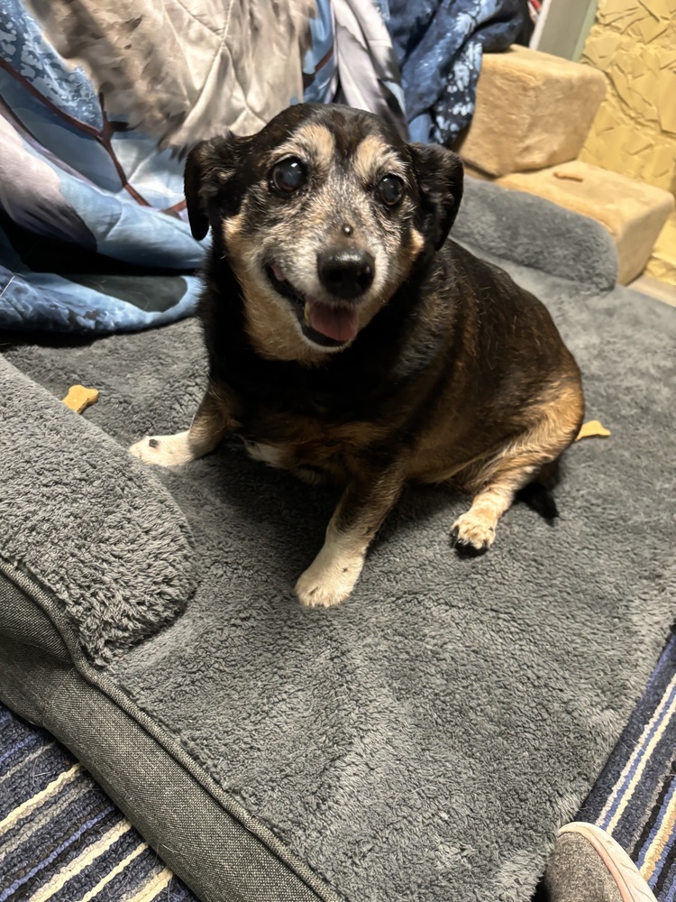 Rosie