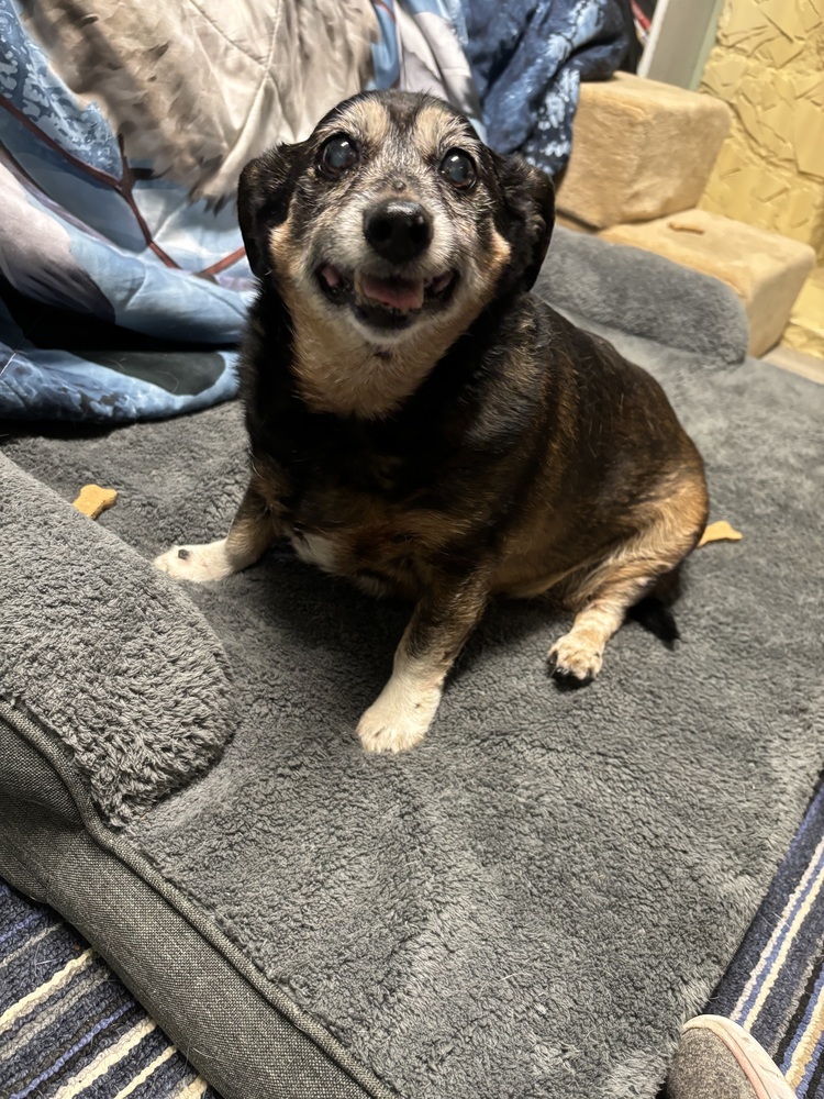 Rosie