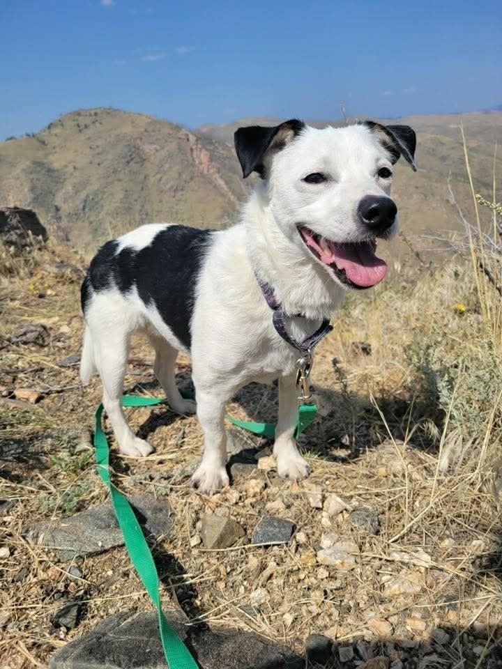 Rowdy (fka Buddy)