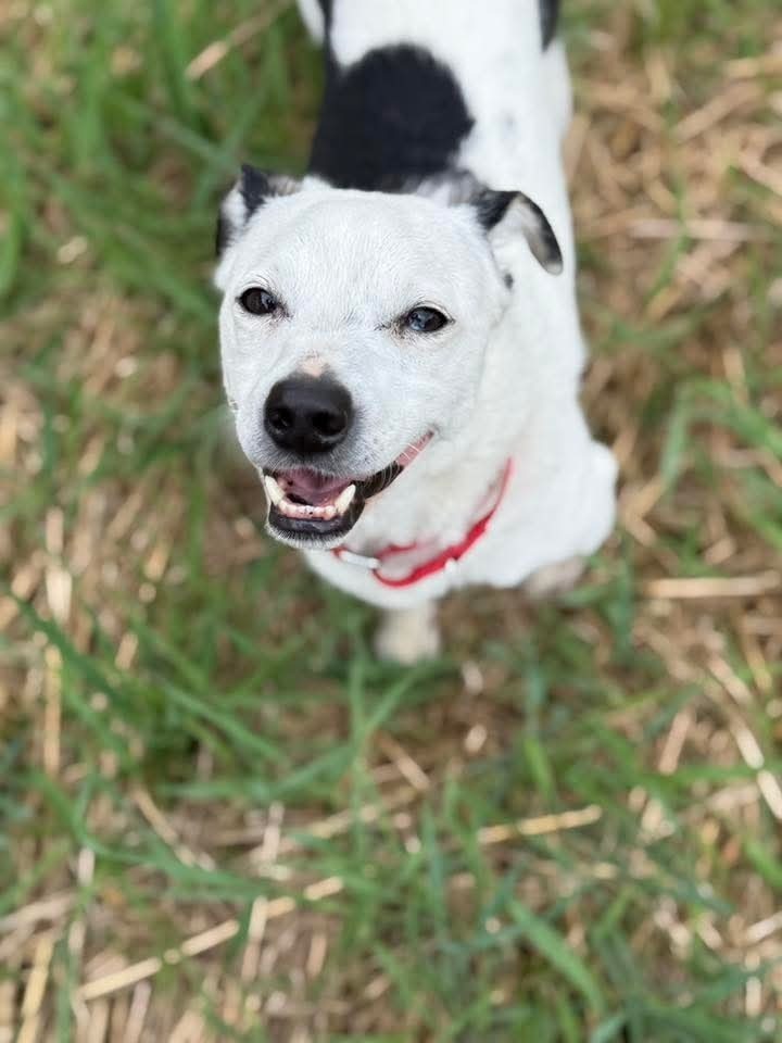 Rowdy (fka Buddy)