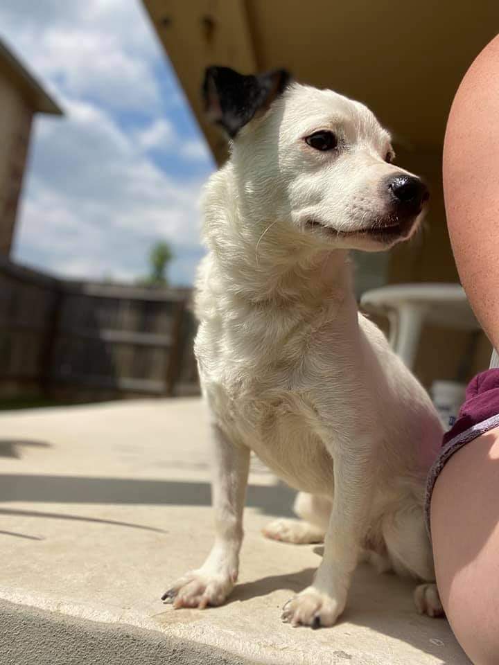 Rowdy (fka Buddy)