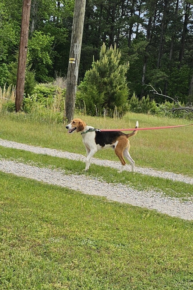 Sammy