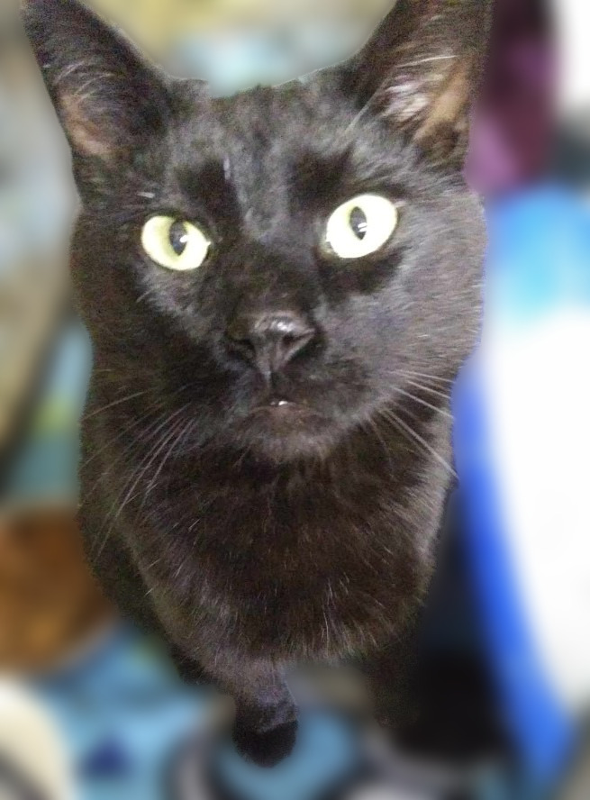 Cedric