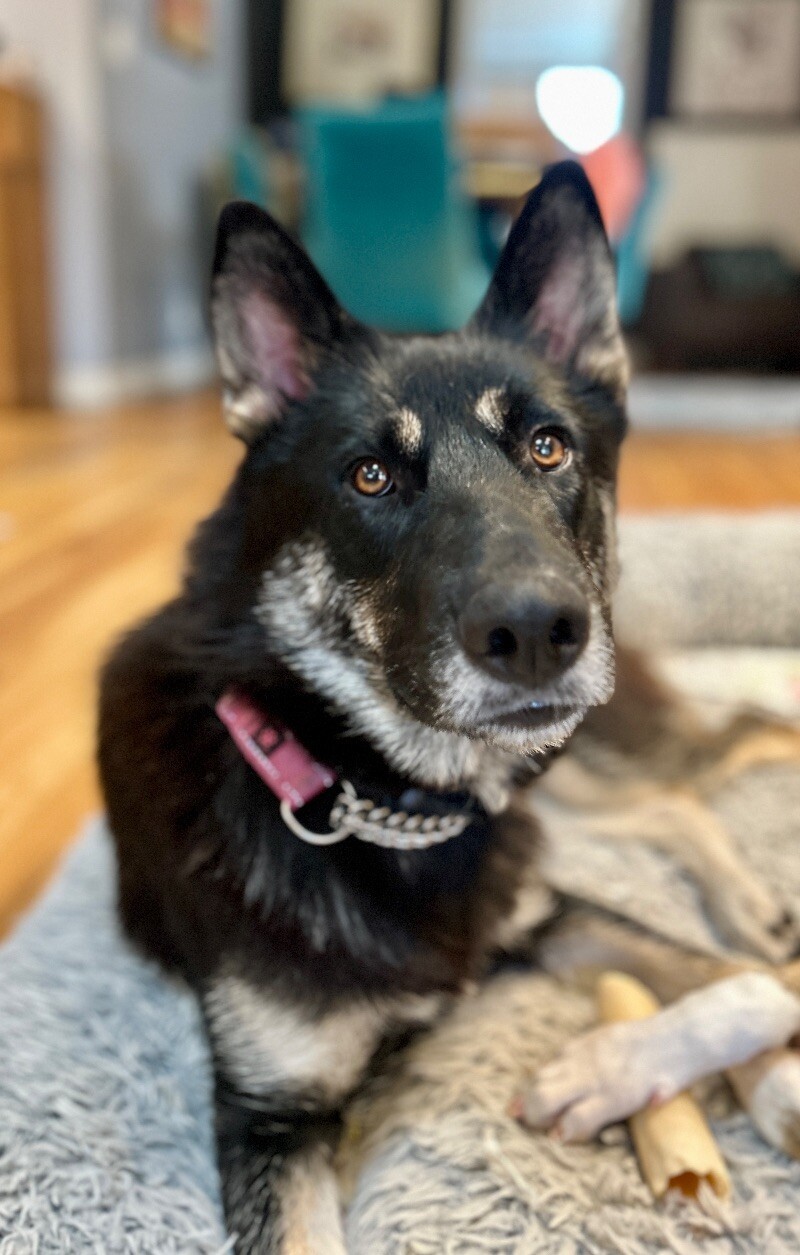 Belle