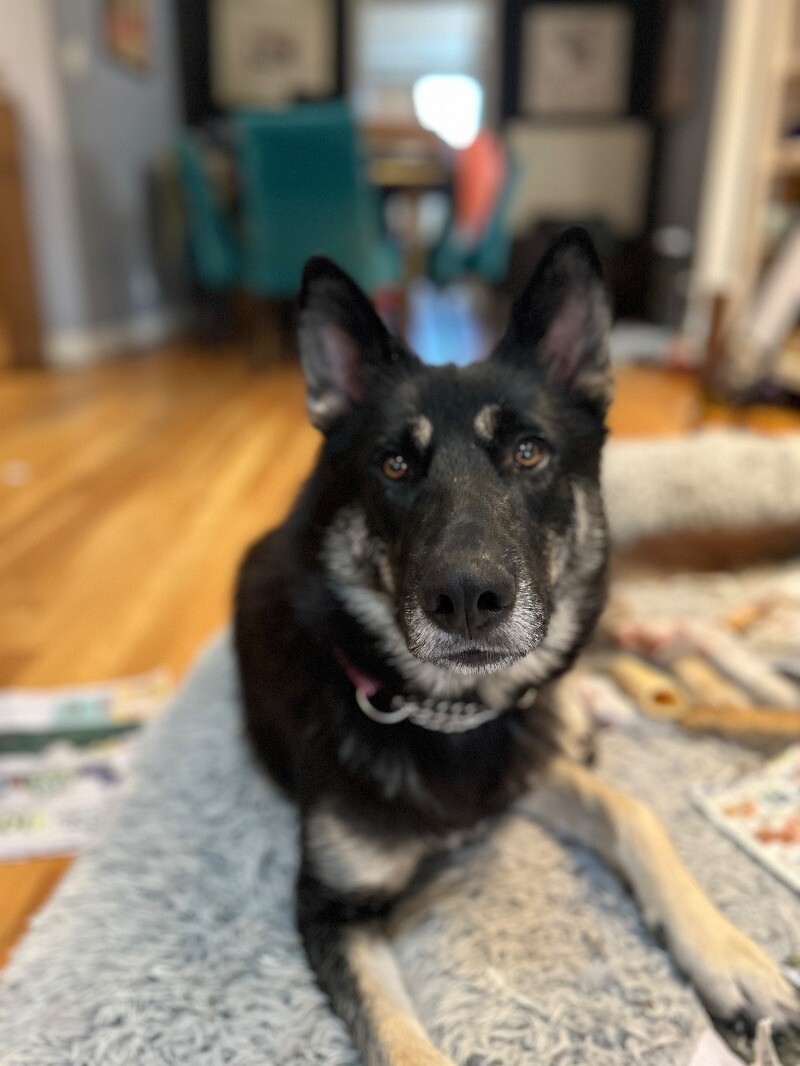 Belle