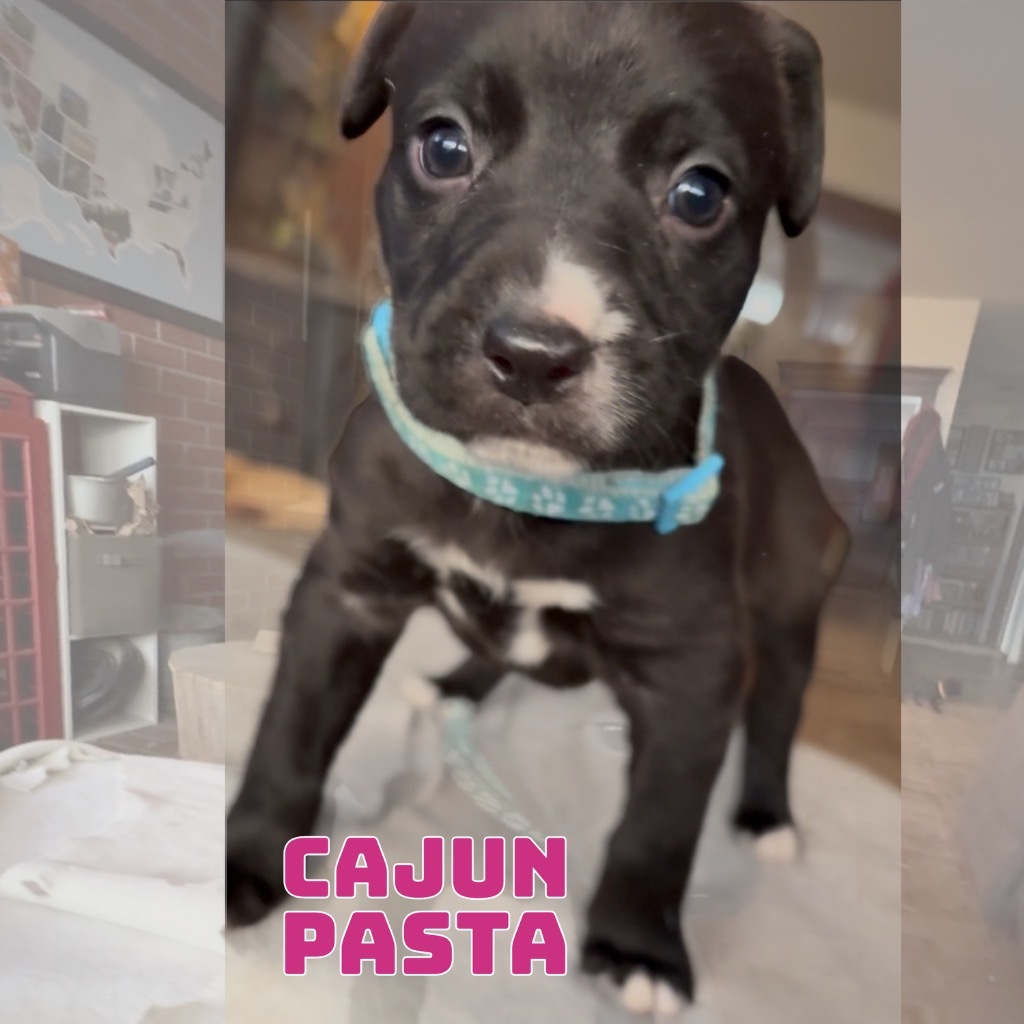 Cajun Pasta