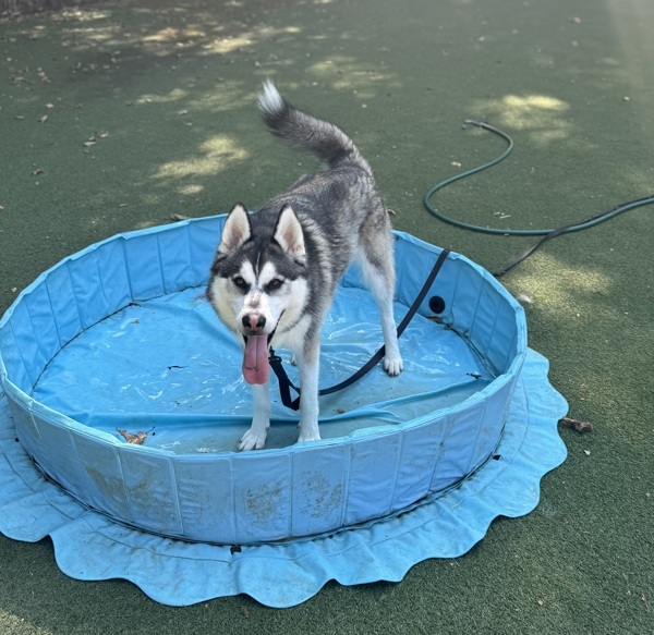 Milo