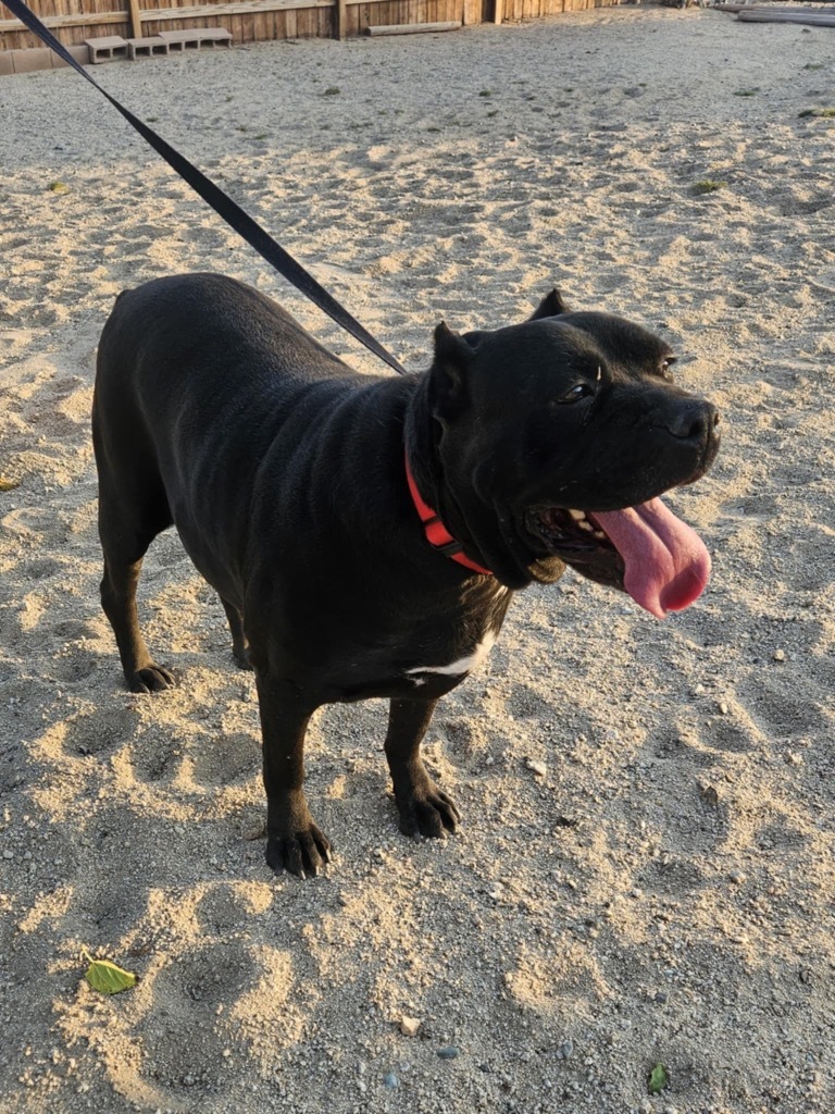 Ba-Luna