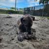 Reeses photo 4