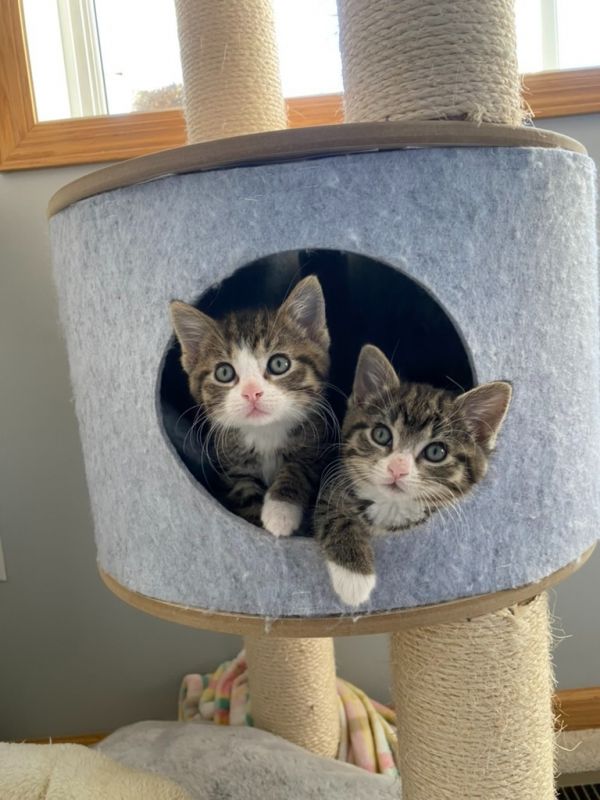 Otis / Ozzy photo 1