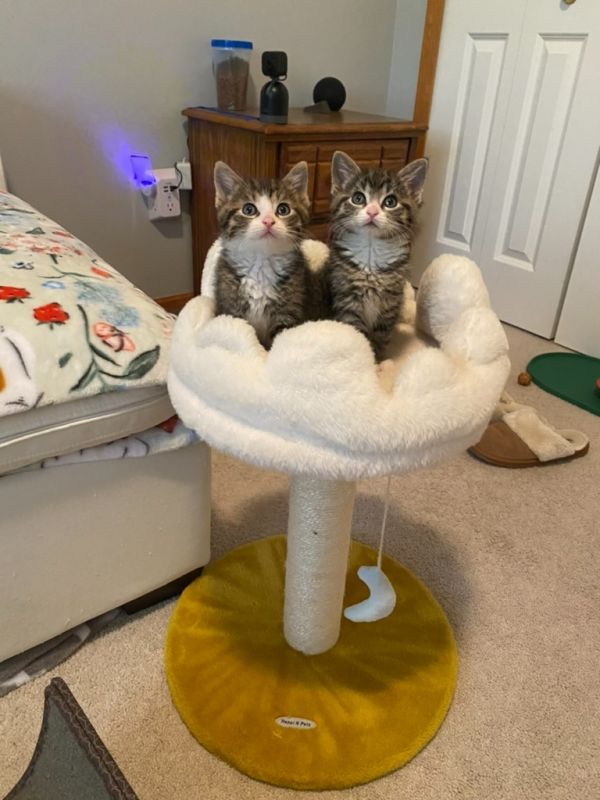 Otis / Ozzy thumbnail 2
