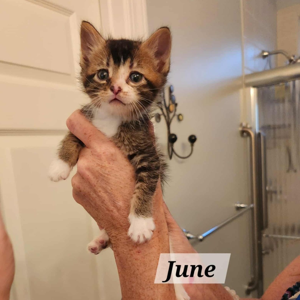 June