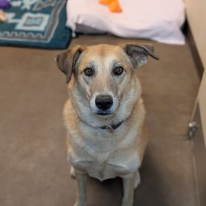 Astrid (Braylee)