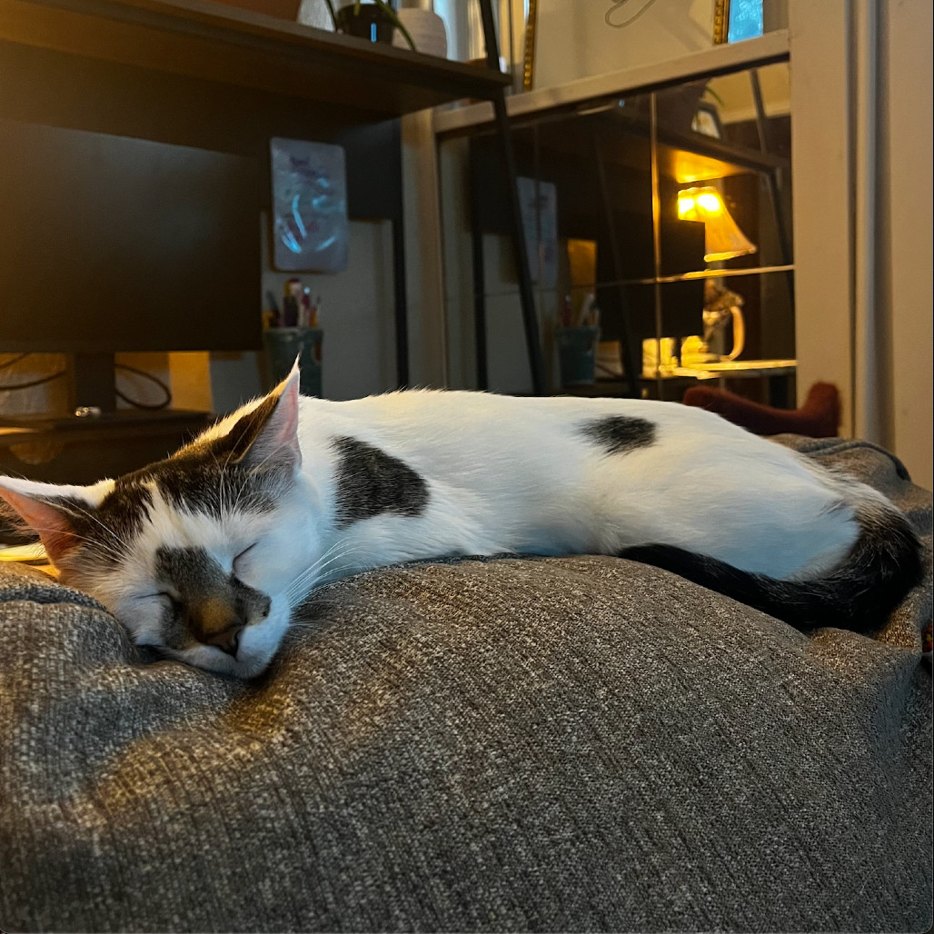 Luna Bean C64933