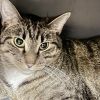 Socks C14615 (bonded with Junior) photo 3