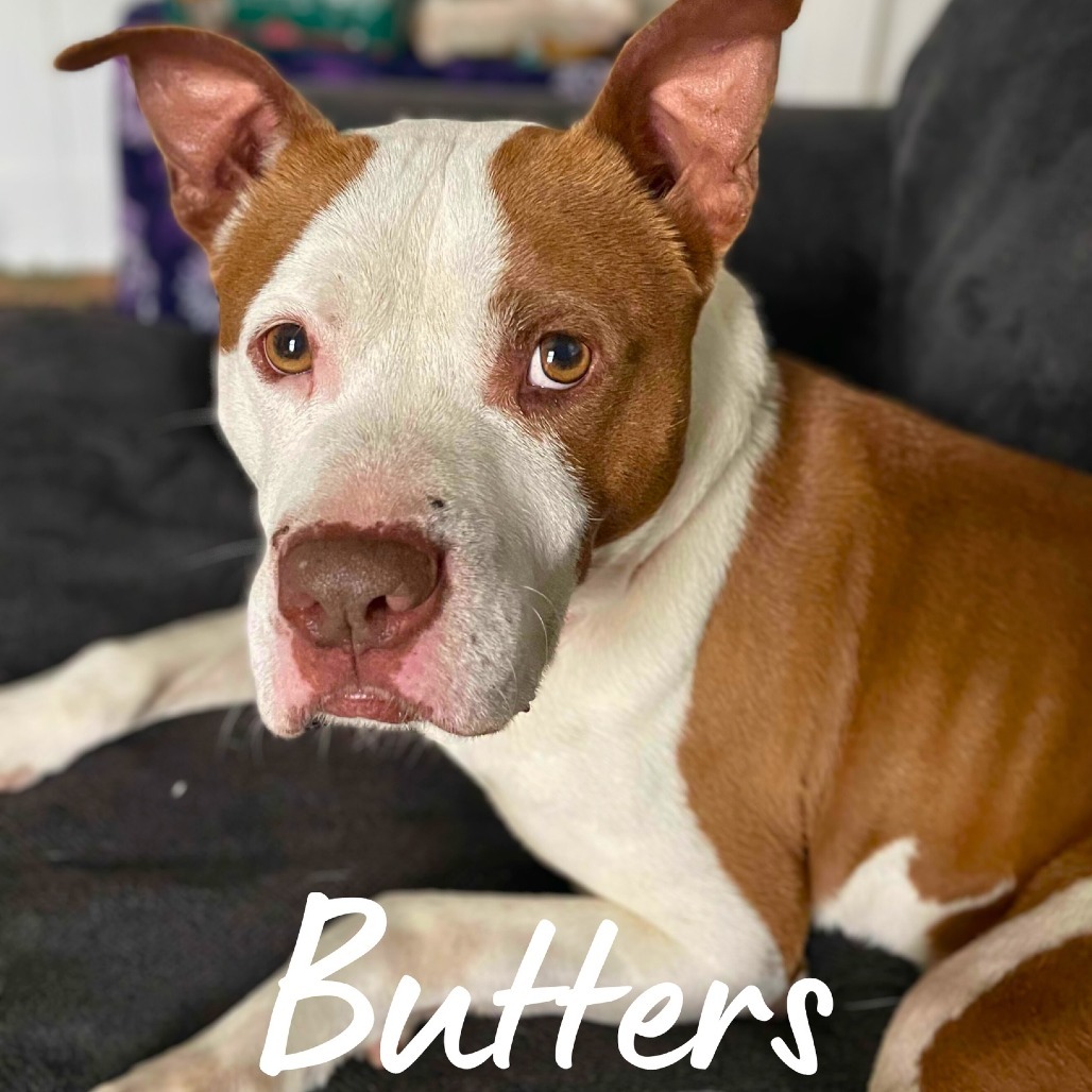 Butters