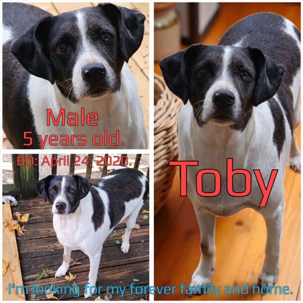 Toby
