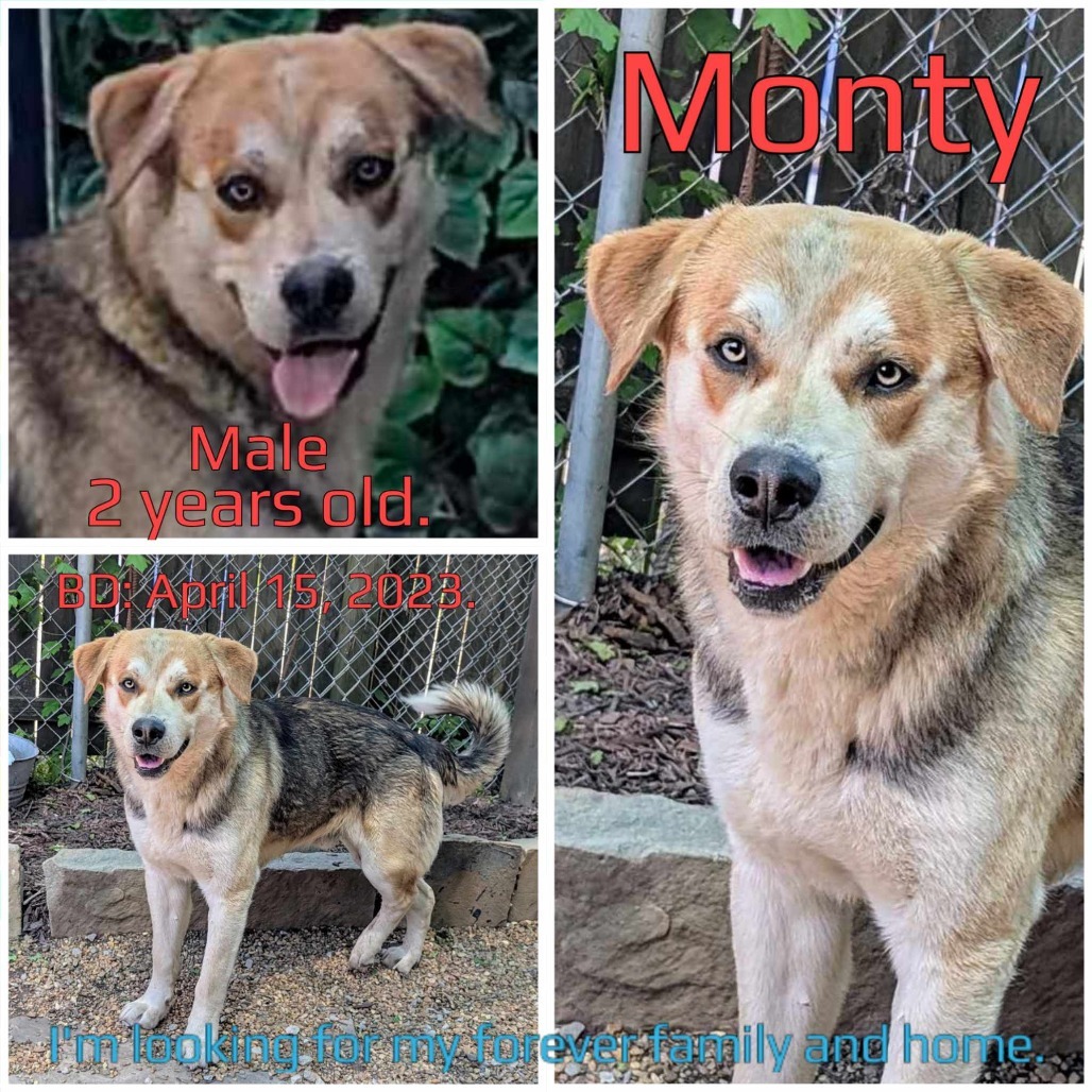 Monty