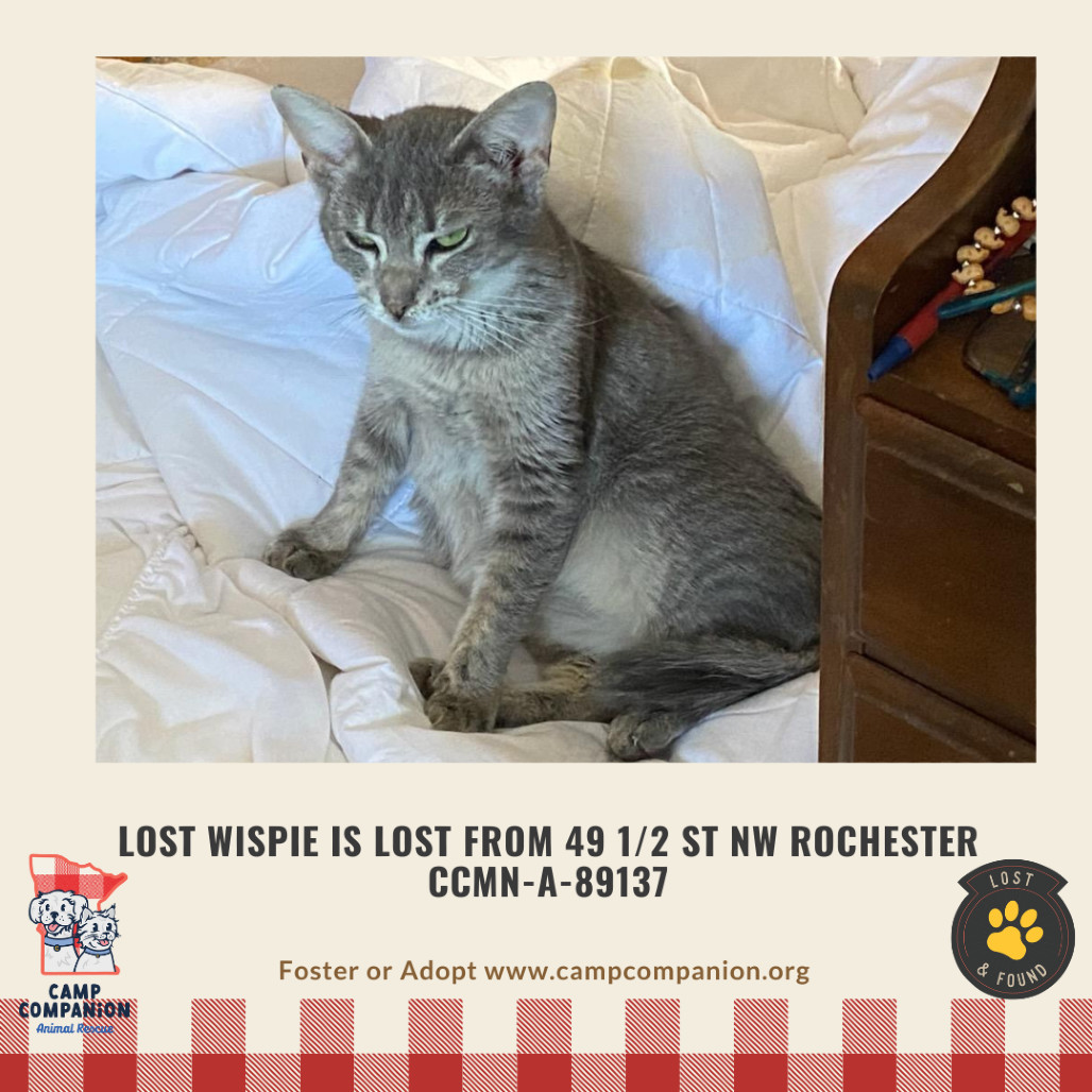 Wispie is LOST