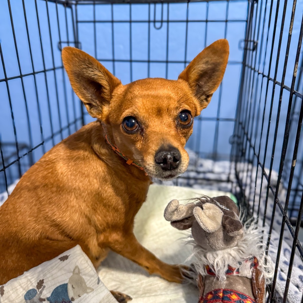 Chiquita