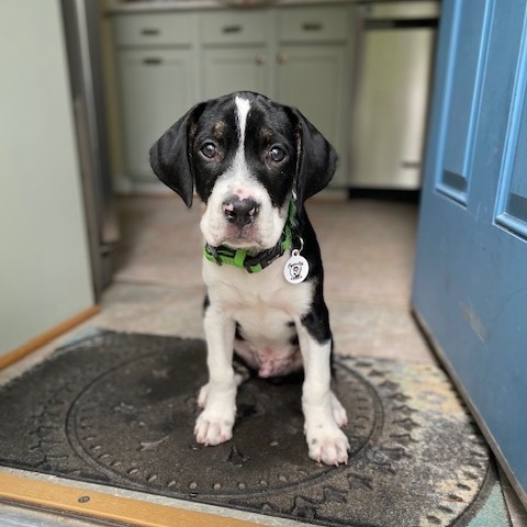 Oscar