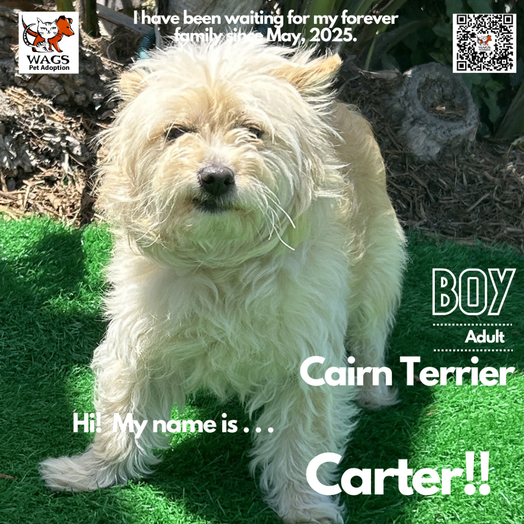 Carter