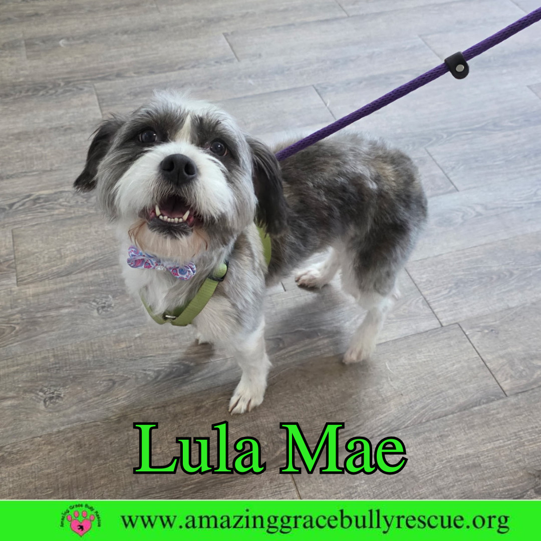 Lula Mae