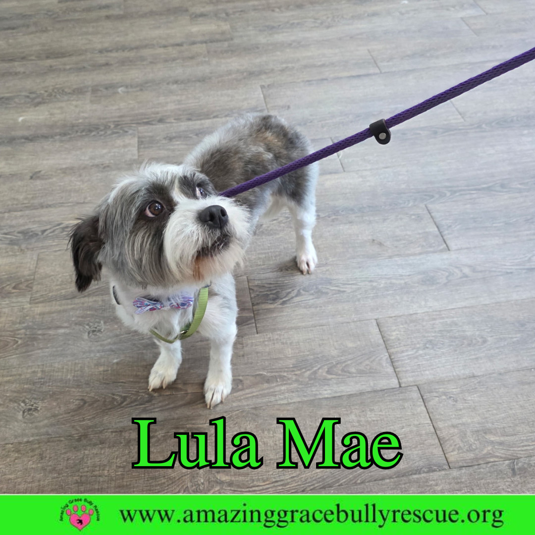 Lula Mae