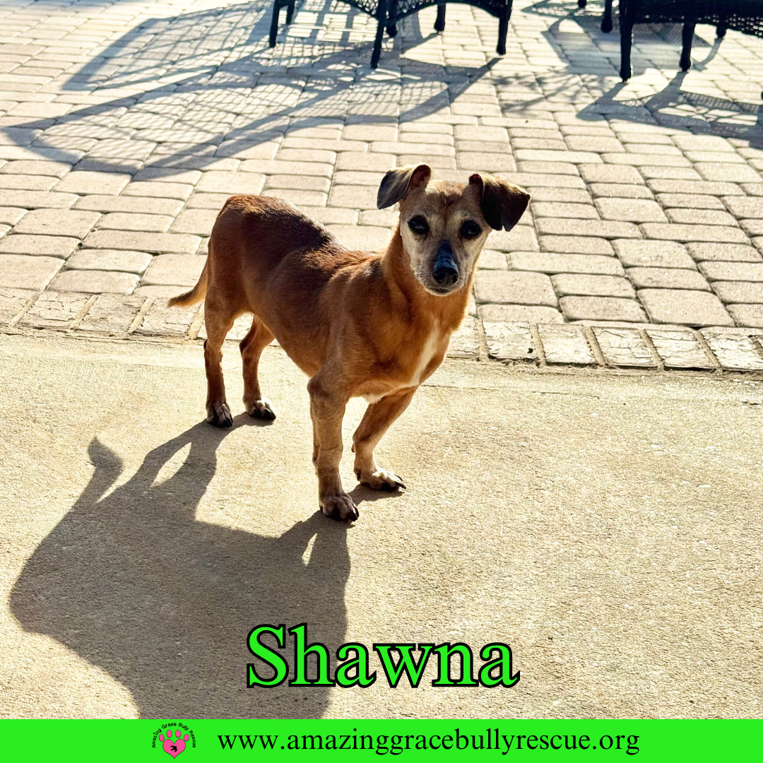 Shawna