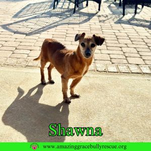 Shawna, Senior Female unknown