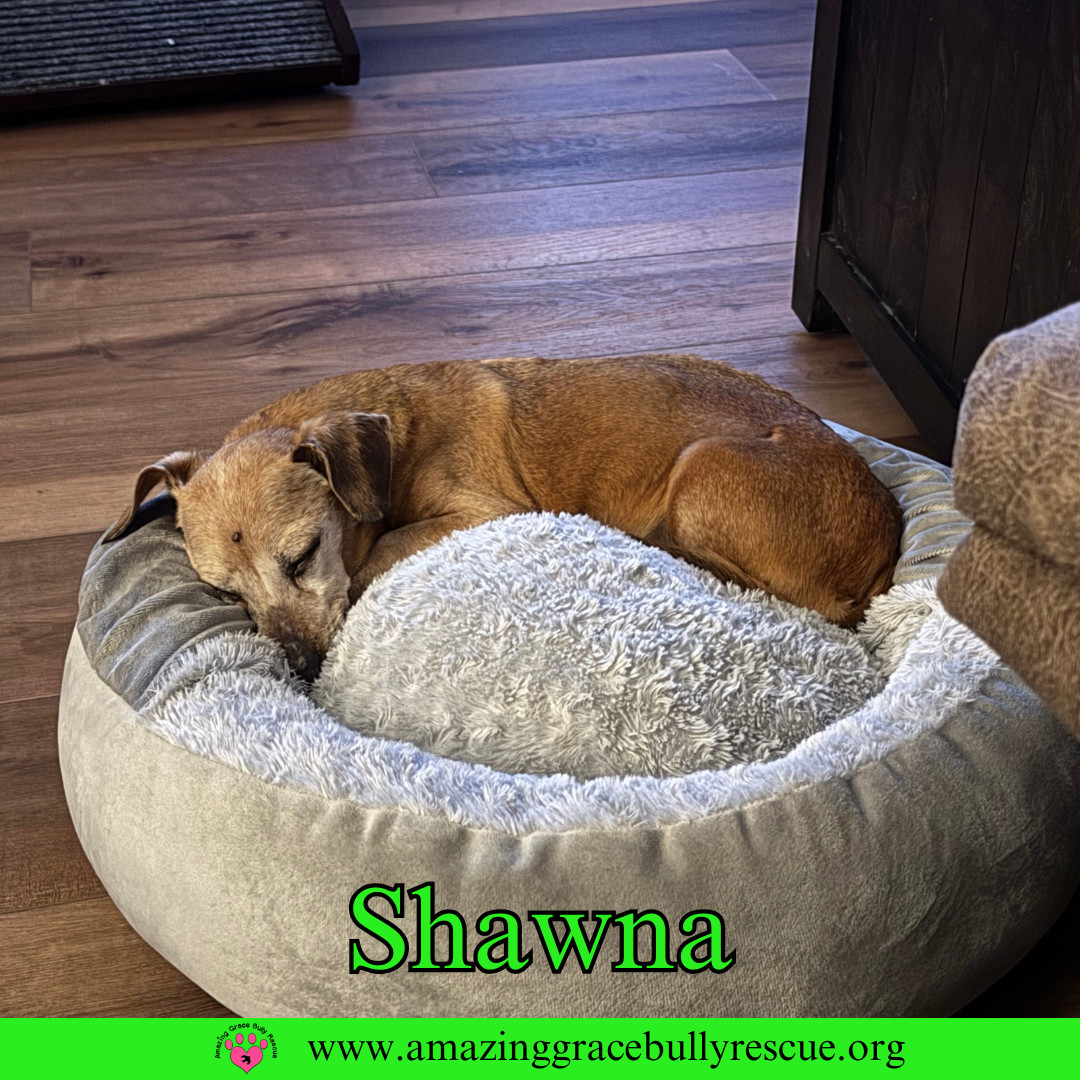 Shawna