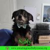 Sally photo 1
