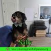 Sally photo 2