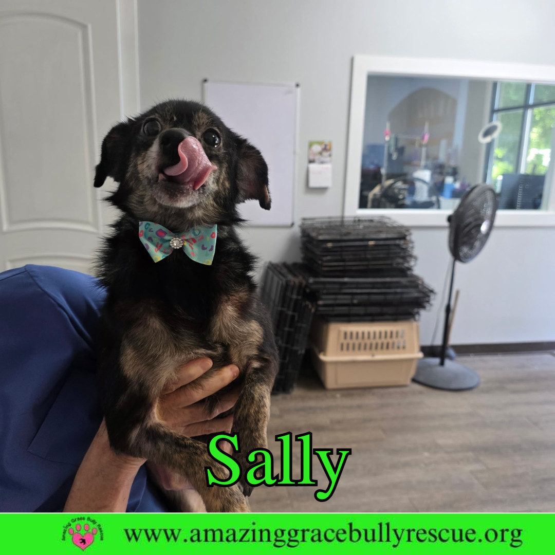 Sally