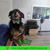Sally photo 3