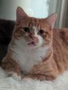 Clyde photo 2