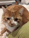 Clyde photo 3