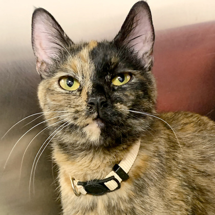 Delilah