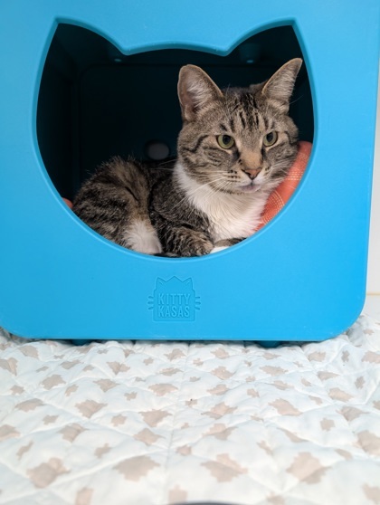 Fred