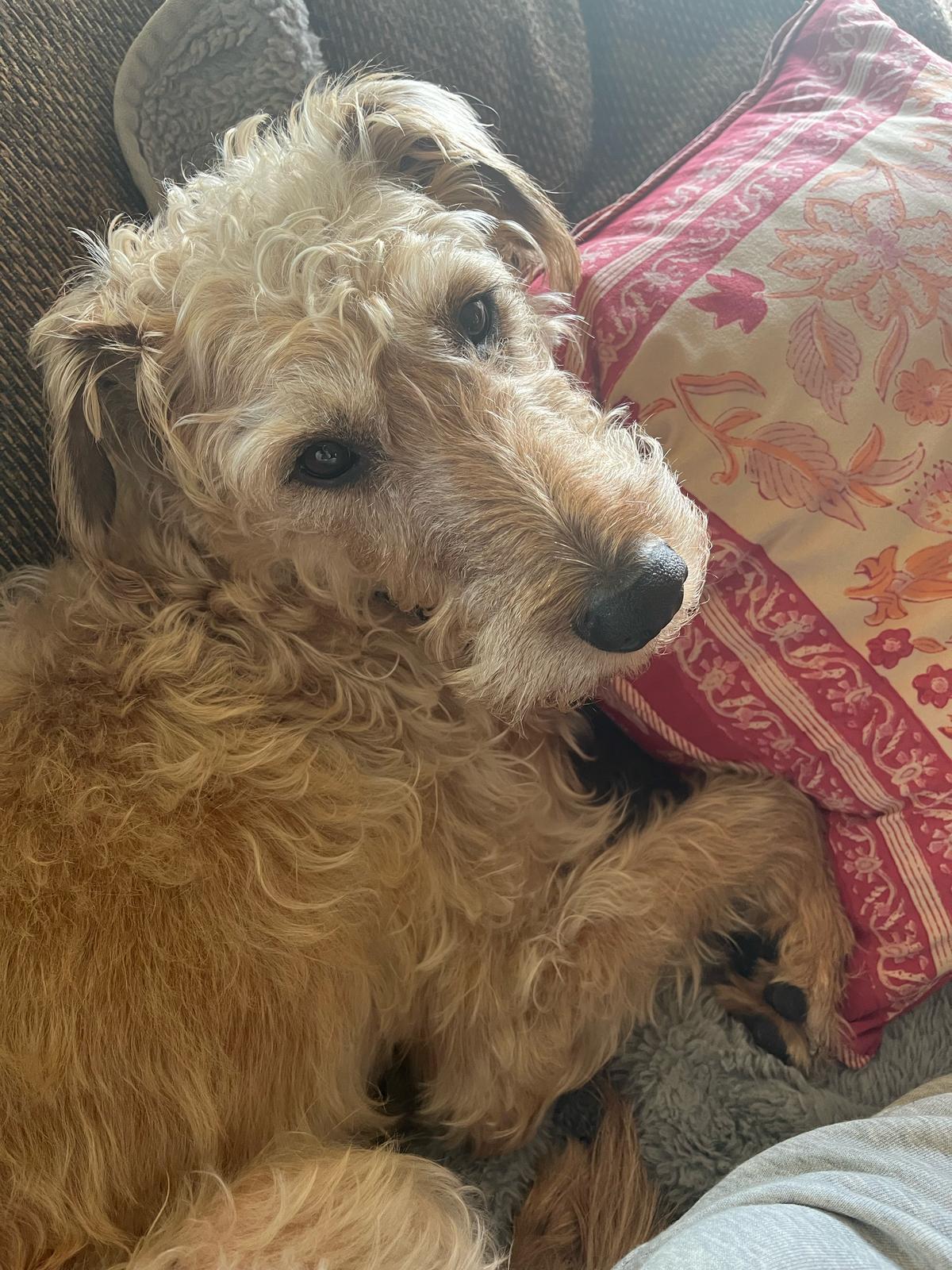 Doug