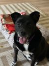 Frieda (real Name) photo 1
