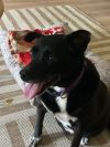 Frieda (real Name) photo 2