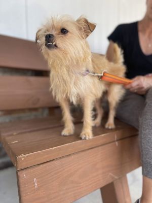 Thank you for checking out my bio please check back for an update My foster will update my informa