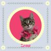 Zena photo 5